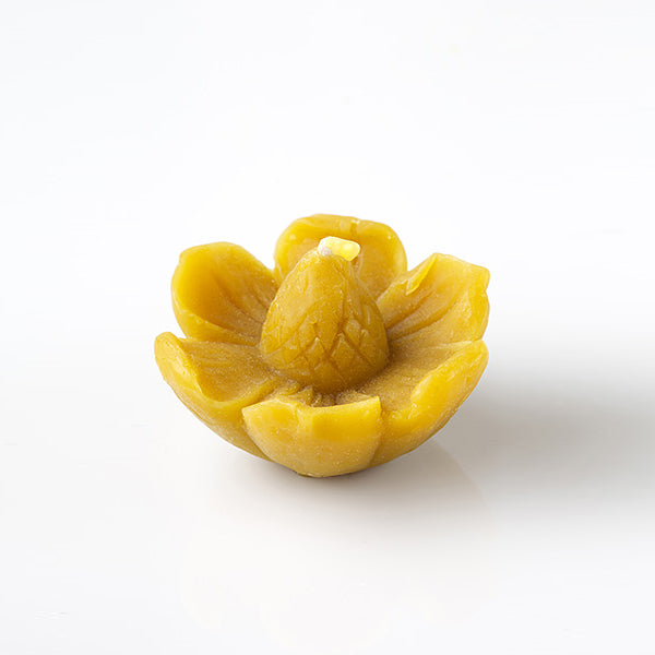 Blomst lys